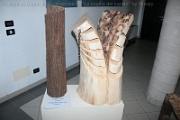 Sculture_Cavino_ 2009 (172)